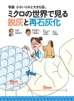 page 1 thumbnail