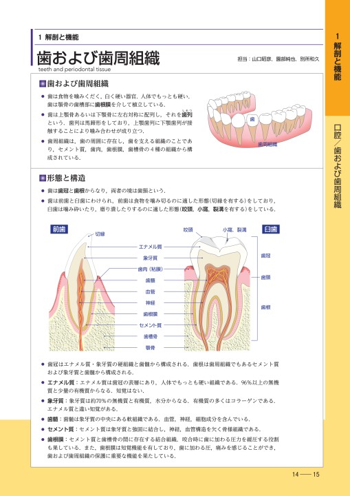 口の中がわかる ビジュアル歯科口腔科学読本
