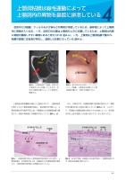 page 1 thumbnail