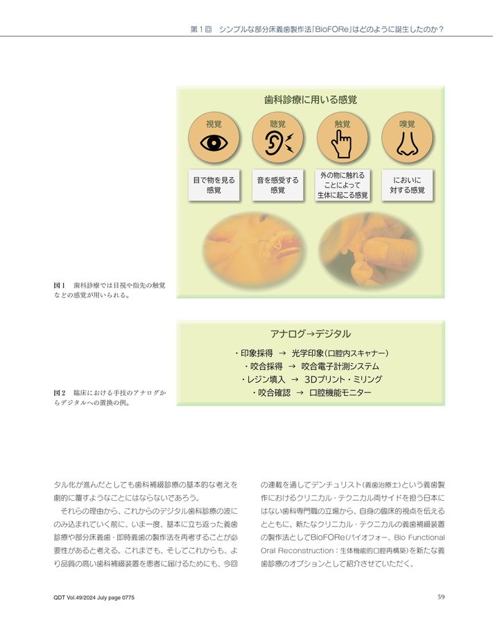 2024年　QDT 1〜12月 シエン社 | QDT／2024年6月号