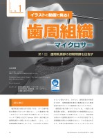 page 1 thumbnail