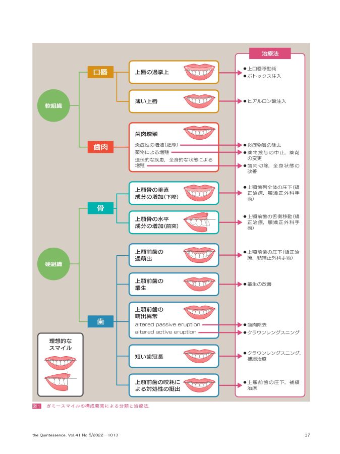 裁断済み】Gummy Smile ガミースマイル 伝法昌広